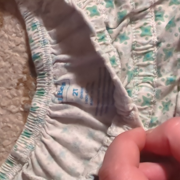 Adorable LLBean Girls Shirt 2T - Picture 2 of 3